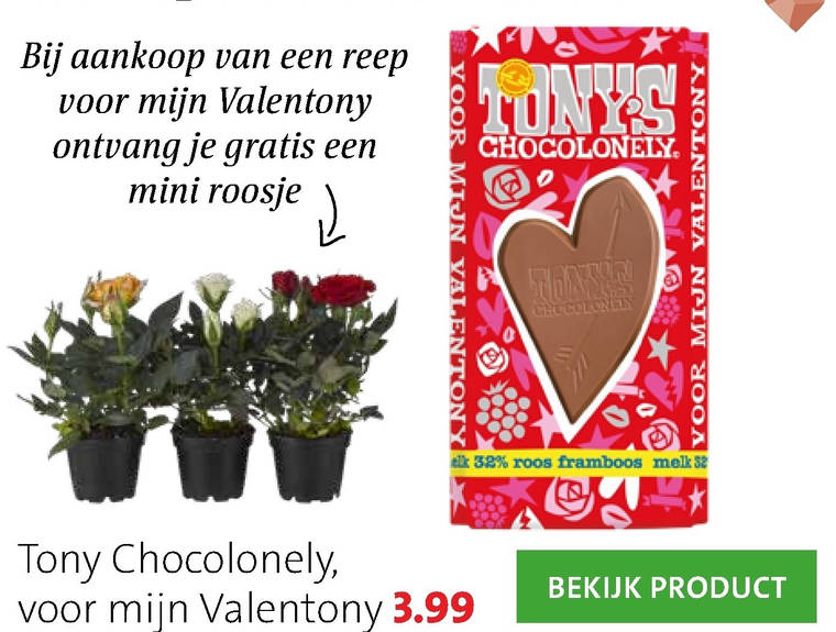 Tony Chocolony   chocolade folder aanbieding bij  Intratuin - details