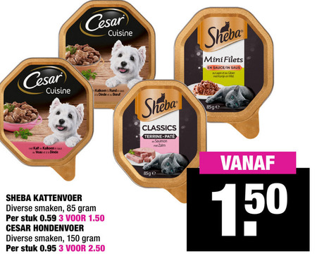 Cesar   hondenvoer, kattenvoer folder aanbieding bij  Big Bazar - details