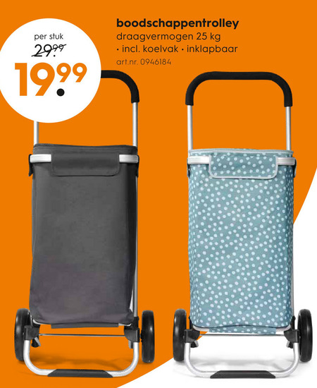 domein Onderzoek het plan boodschappenwagen folder aanbieding bij Blokker - details