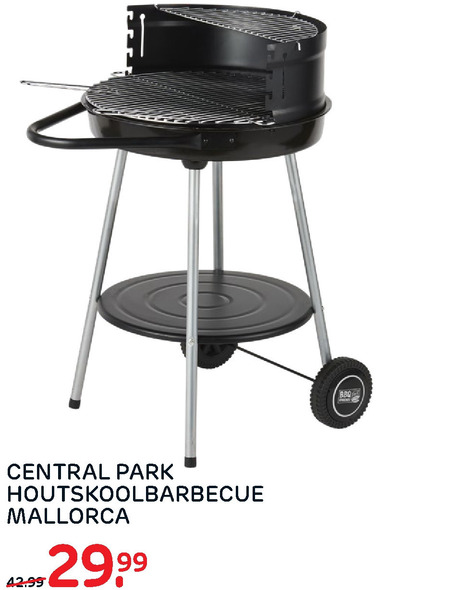 Central Park   houtskool barbecue folder aanbieding bij  Praxis - details