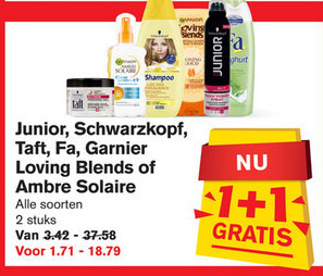 Taft   shampoo, conditioner folder aanbieding bij  Hoogvliet - details