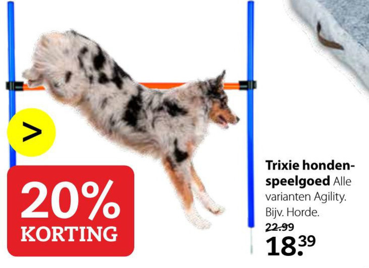 Trixie   hondenspeeltje folder aanbieding bij  Pets Place - details