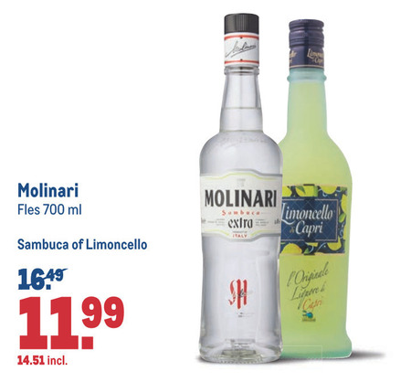 Molinari   sambuca, limoncello folder aanbieding bij  Makro - details