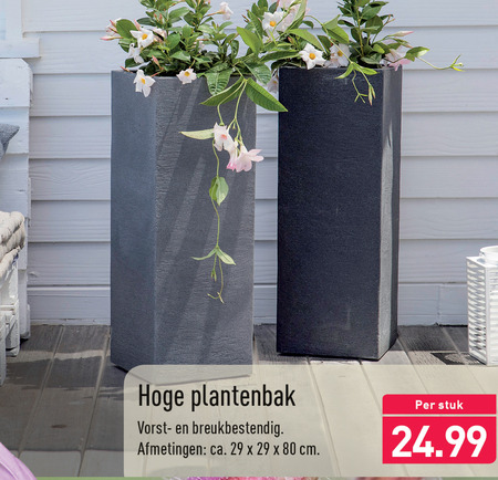 Bedienen natuurpark Prematuur plantenbak folder aanbieding bij Aldi - details