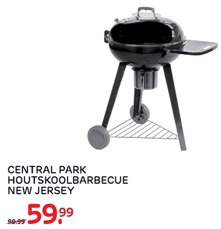 Central Park   houtskool barbecue folder aanbieding bij  Praxis - details