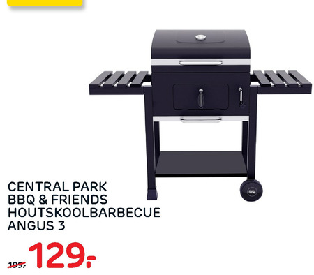 Central Park   houtskool barbecue folder aanbieding bij  Praxis - details