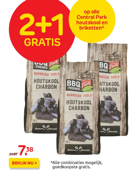 Central Park   houtskool, briketten folder aanbieding bij  Praxis - details