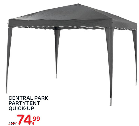 Central partytent folder aanbieding bij Praxis - details