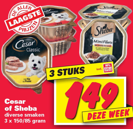 Cesar   kattenvoer, hondenvoer folder aanbieding bij  Nettorama - details