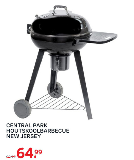 Central Park   houtskool barbecue folder aanbieding bij  Praxis - details