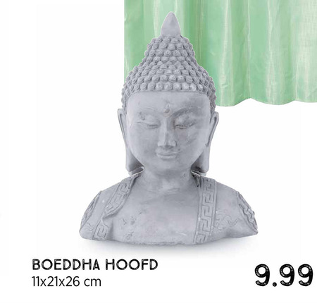 boeddha folder aanbieding bij -