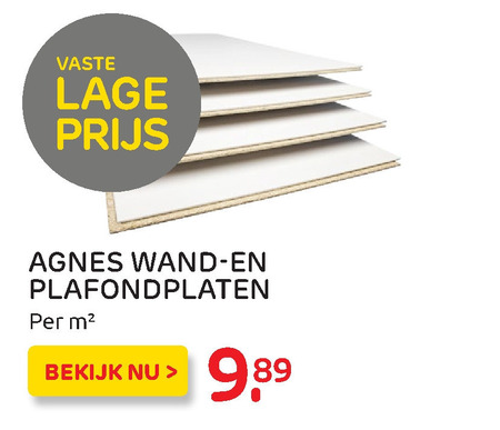 Agnes   plafondplaat folder aanbieding bij  Praxis - details