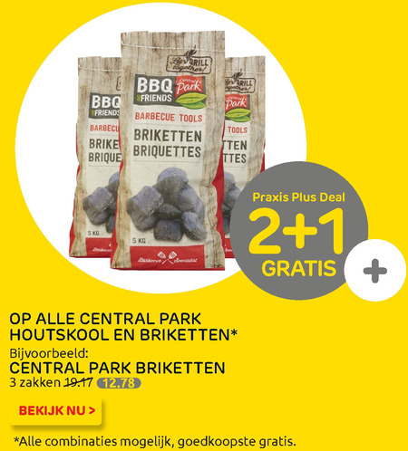 Central Park   houtskool, briketten folder aanbieding bij  Praxis - details