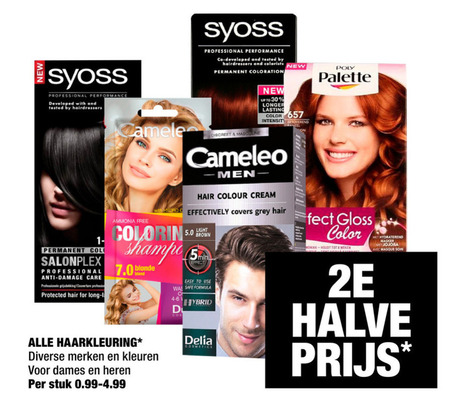 Syoss   haarkleuring folder aanbieding bij  Big Bazar - details