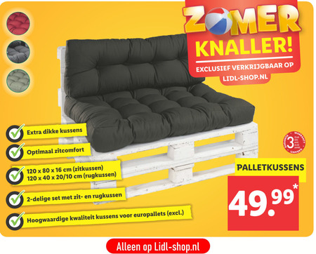 Agrarisch Antipoison Egyptische loungekussen folder aanbieding bij Lidl - details