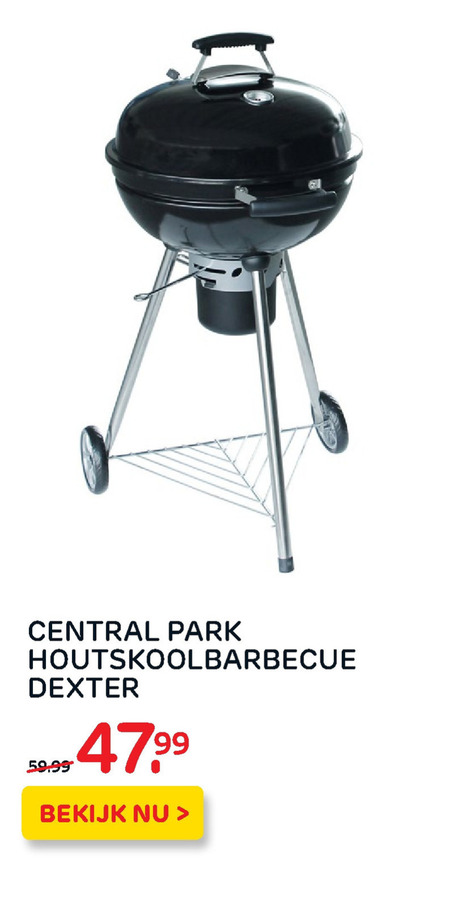 Central Park   houtskool barbecue folder aanbieding bij  Praxis - details