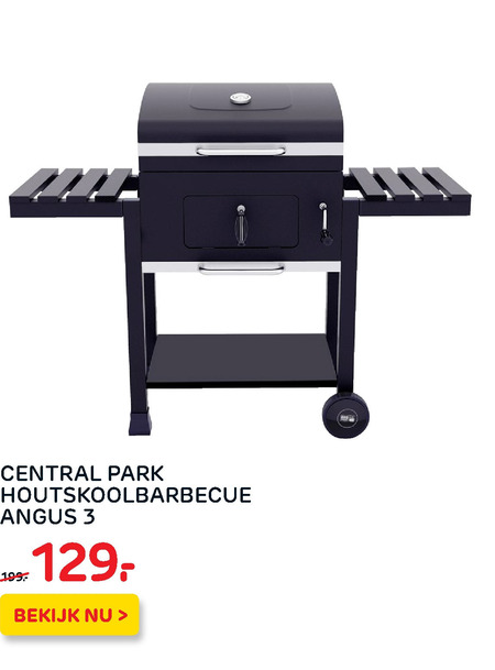 Central Park   houtskool barbecue folder aanbieding bij  Praxis - details