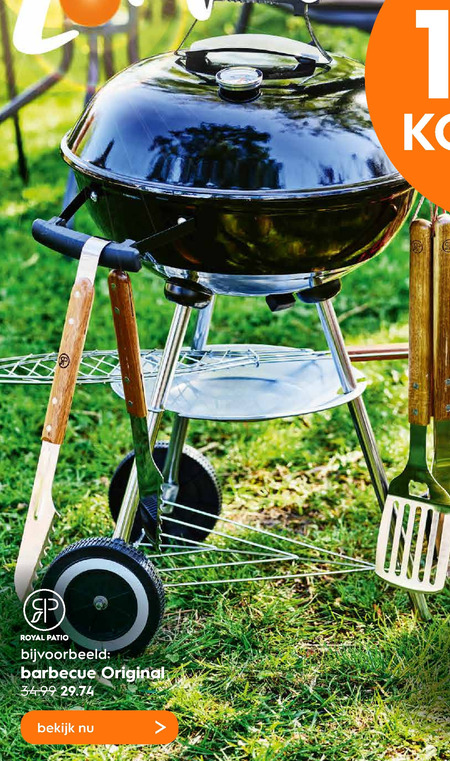 Royal Patio   houtskool barbecue folder aanbieding bij  Blokker - details