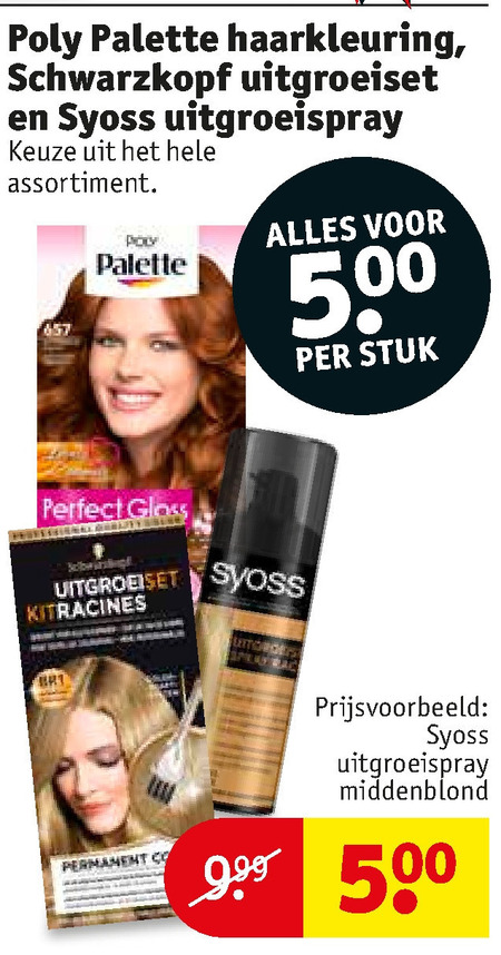 Poly Palette   haarkleuring folder aanbieding bij  Kruidvat - details