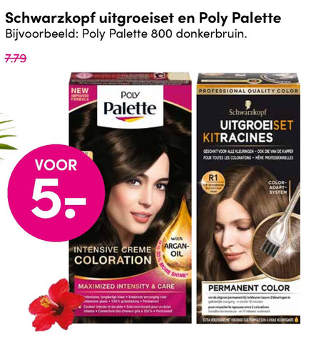 Poly Palette   haarkleuring folder aanbieding bij  DA - details