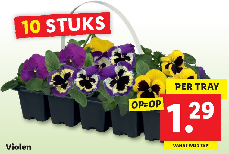 violen aanbieding bij details