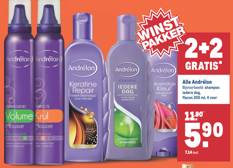 Andrelon   haargel, droogshampoo folder aanbieding bij  Makro - details