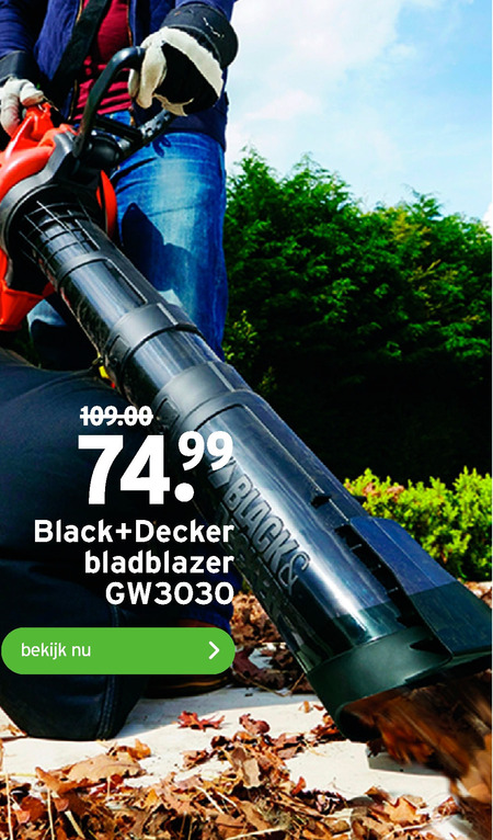 Black and Decker   bladblazer folder aanbieding bij  Gamma - details