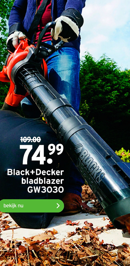 Black and Decker   bladblazer folder aanbieding bij  Gamma - details