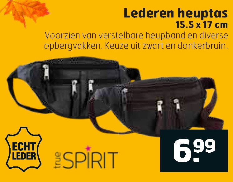 TrueSpirit   heuptas folder aanbieding bij  Trekpleister - details