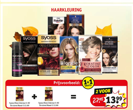 Syoss   haarkleuring folder aanbieding bij  Kruidvat - details