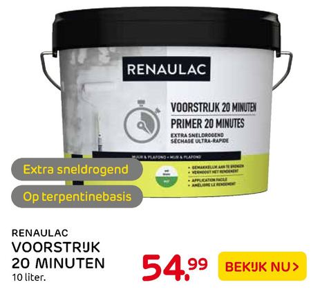 Renaulac   voorstrijk folder aanbieding bij  Praxis - details