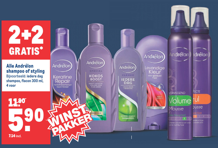 Andrelon   hairspray, shampoo folder aanbieding bij  Makro - details