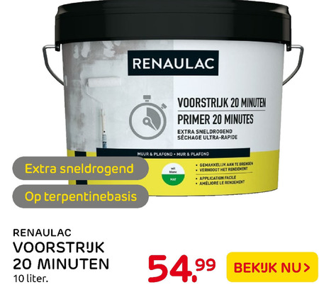 Renaulac   voorstrijk folder aanbieding bij  Praxis - details