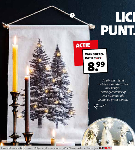 Plaatsen Mentor lancering kerstdecoratie folder aanbieding bij Intratuin - details