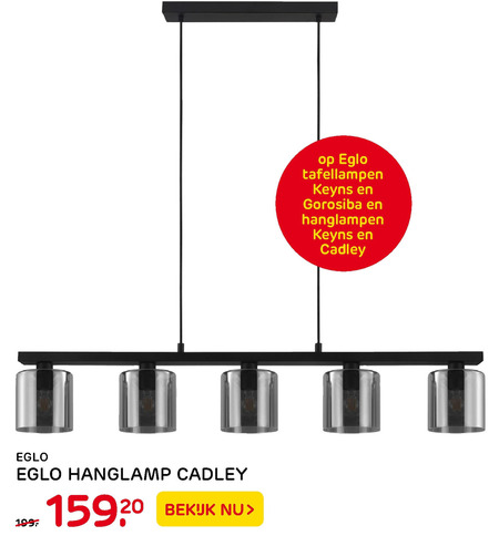 Eglo   hanglamp folder aanbieding bij  Praxis - details