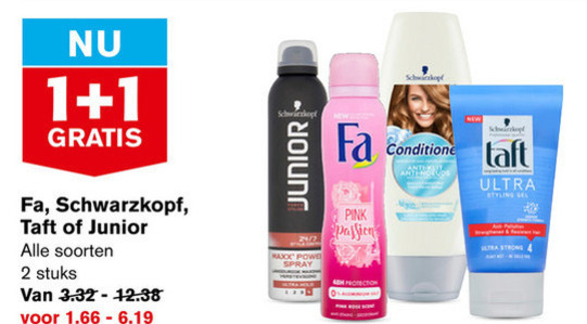 Taft   shampoo, hairspray folder aanbieding bij  Hoogvliet - details