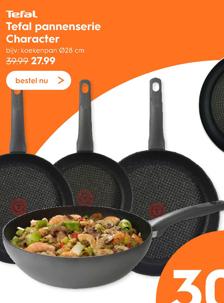 Tefal   wokpan, koekenpan folder aanbieding bij  Blokker - details