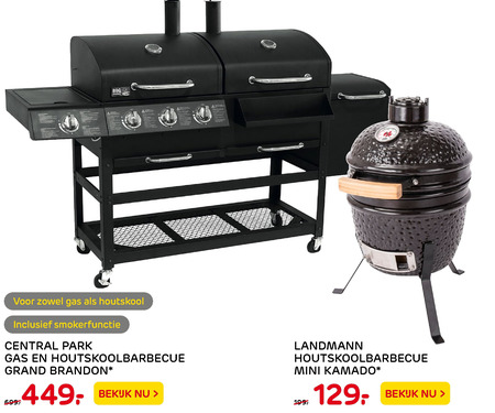 Central Park   houtskool barbecue folder aanbieding bij  Praxis - details