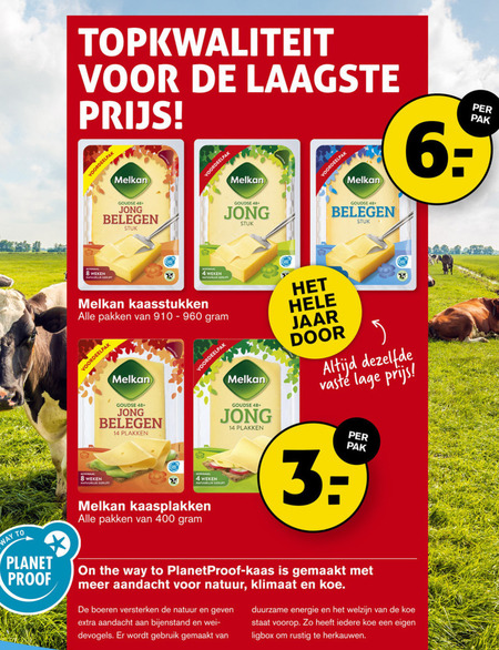 Melkan   kaas, kaasplakken folder aanbieding bij  Hoogvliet - details