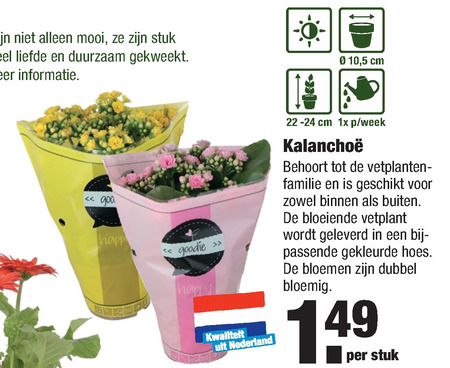 Atticus boete risico folder aanbieding bij Aldi - details