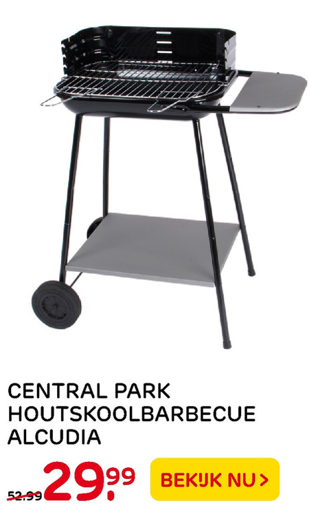 Central Park   houtskool barbecue folder aanbieding bij  Praxis - details