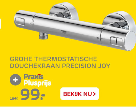 twaalf Thermisch spannend Grohe douchekraan, thermostaatkraan folder aanbieding bij Praxis - details