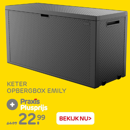 dans Monografie Ver weg Keter tuinstoelkussenbox folder aanbieding bij Praxis - details