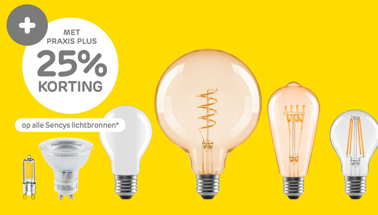 Herinnering Toegepast Lucky led lamp folder aanbieding bij Praxis - details