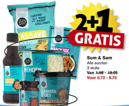 Sum and Sam   honing, noodles folder aanbieding bij  Hoogvliet - details