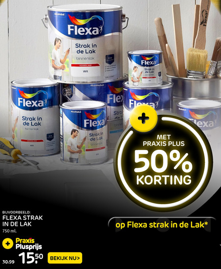 Flexa   lak folder aanbieding bij  Praxis - details