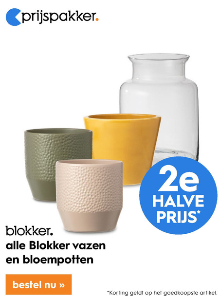 Blokker Huismerk   bloempot, vaas folder aanbieding bij  Blokker - details
