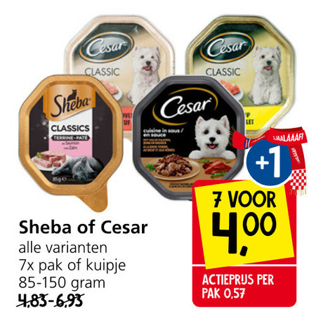 Cesar   kattenvoer, hondenvoer folder aanbieding bij  Jan Linders - details