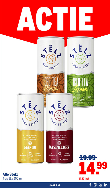 Stelz   hard seltzer folder aanbieding bij  Makro - details