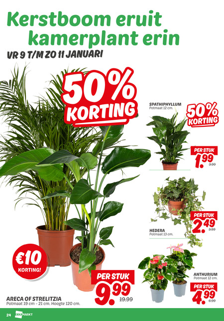 kamerplant folder aanbieding bij Dekamarkt - details